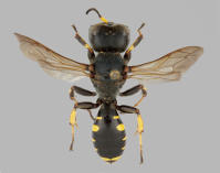 Image 22