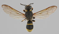 Image 17