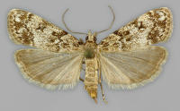 Image 15