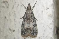 Image 23