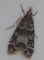 Image 17