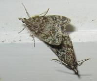 Image 17