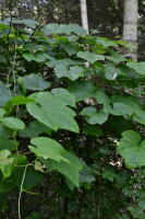 Image 14