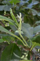 Image 13