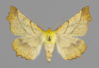 Image 13