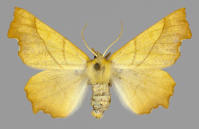 Image 16