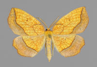 Image 13