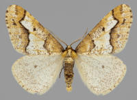 Image 23