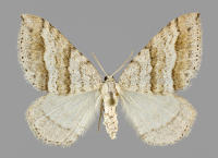 Image 23