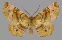 Image 17