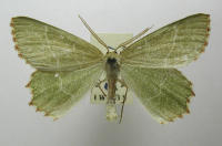Image 17
