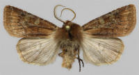 Image 22