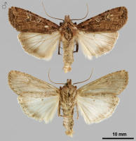 Image 14