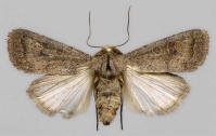 Image 14
