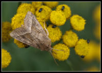 Image 13