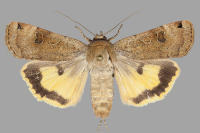 Image 22
