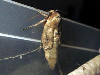 Image 14