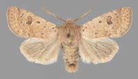 Image 16