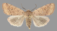 Image 23
