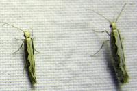 Image 23
