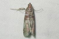 Image 16