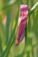 Image 17