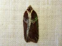Image 23