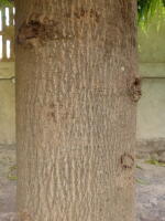Image 23