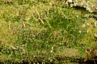 Image 14