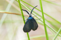 Image 14