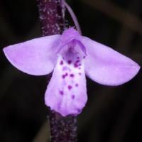 Image 13