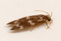 Image 14