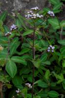 Image 14