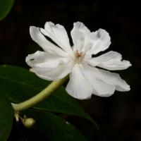 Image 14