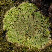 Image 13