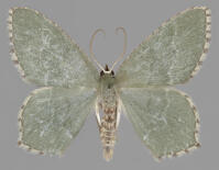 Image 17