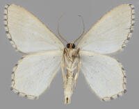 Image 18