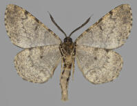 Image 22