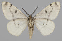 Image 17