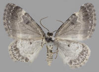 Image 17