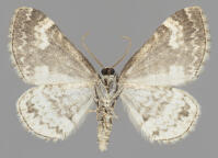 Image 22