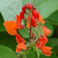 Image 23