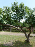 Image 21