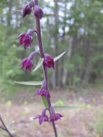 Image 23