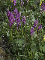 Image 23