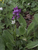 Image 24