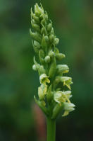 Image 14
