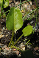 Image 14