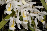 Image 14
