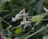 Image 14